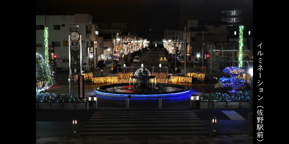 鑁阿寺の大銀杏　足利市